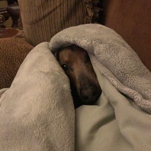 Meet your Posher, Nick